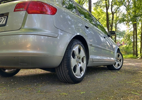 Audi A3 cena 15600 przebieg: 299000, rok produkcji 2006 z Sosnowiec małe 301